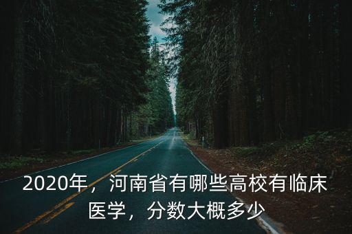 河南省臨床醫(yī)學(xué)院有多少個,河南省有哪些高校有臨床醫(yī)學(xué)