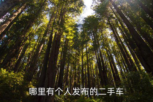 河南省民權縣哪里有賣二手車的,哪里有個人發布的二手車
