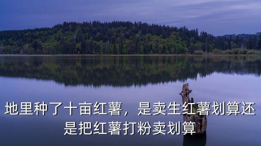 地里種了十畝紅薯，是賣生紅薯劃算還是把紅薯打粉賣劃算