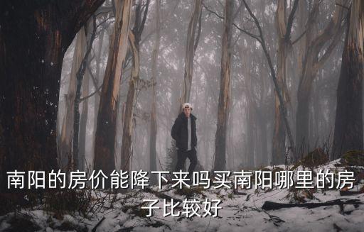 南陽的房價能降下來嗎買南陽哪里的房子比較好