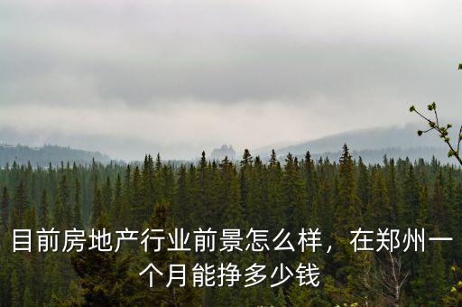 目前房地產(chǎn)行業(yè)前景怎么樣，在鄭州一個(gè)月能掙多少錢