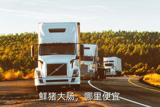 鮮豬大腸，哪里便宜