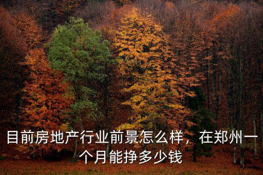 目前房地產行業前景怎么樣，在鄭州一個月能掙多少錢