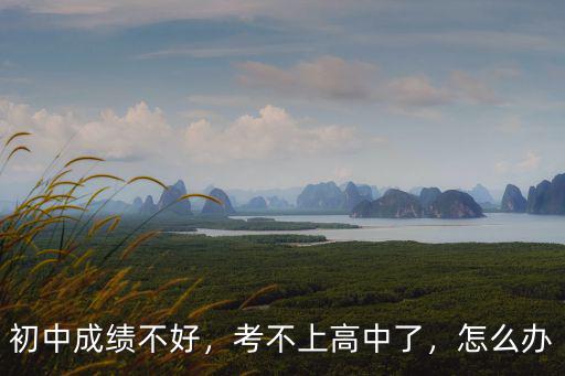 初中成績不好，考不上高中了，怎么辦