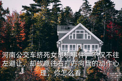河南公交車擠死女司機(jī)事件，不僅不往左避讓，卻故意往右打方向盤的動作心理，你怎么看