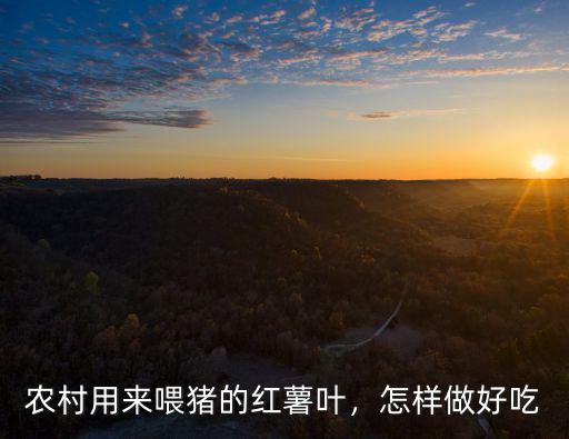 農(nóng)村用來喂豬的紅薯葉，怎樣做好吃
