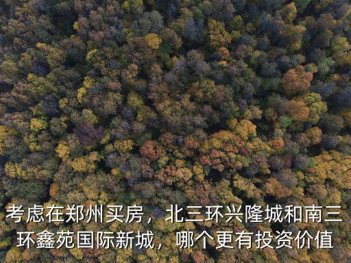 考慮在鄭州買房，北三環興隆城和南三環鑫苑國際新城，哪個更有投資價值