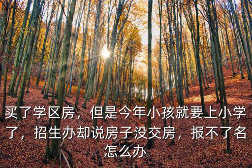 買了學區房，但是今年小孩就要上小學了，招生辦卻說房子沒交房，報不了名怎么辦