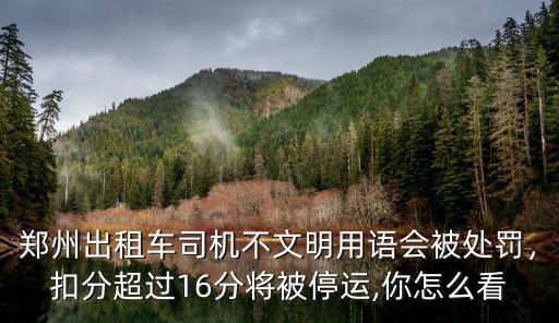 鄭州出租車司機不文明用語會被處罰，扣分超過16分將被停運,你怎么看