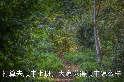 洛陽順豐快遞工作怎么樣,順豐快遞員待遇怎么樣