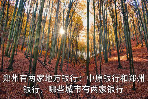 鄭州銀行省分行在哪里,中原銀行和鄭州銀行