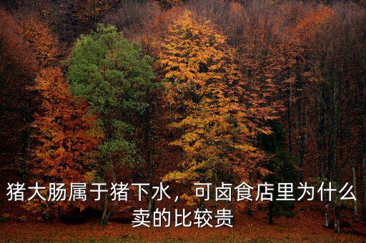 鄭州哪里賣豬大腸,賣豬大腸的很多