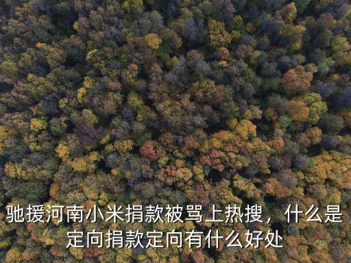 馳援河南小米捐款被罵上熱搜，什么是定向捐款定向有什么好處