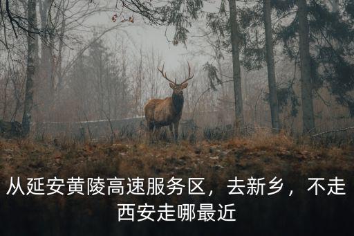 從延安黃陵高速服務區，去新鄉，不走西安走哪最近