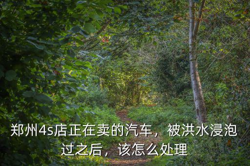 鄭州4s店正在賣的汽車，被洪水浸泡過之后，該怎么處理