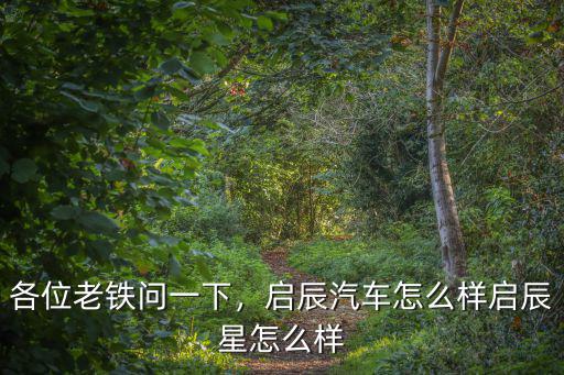 各位老鐵問一下，啟辰汽車怎么樣啟辰星怎么樣
