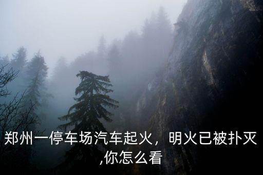 鄭州一停車場汽車起火，明火已被撲滅,你怎么看