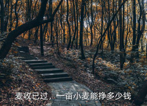 麥收已過，一畝小麥能掙多少錢