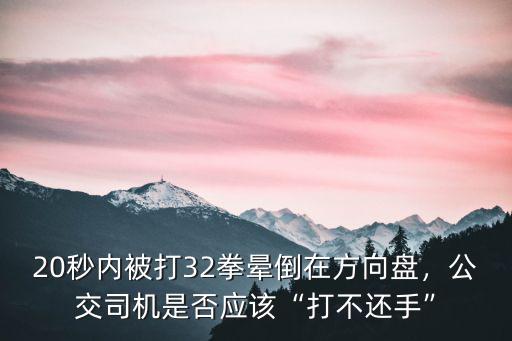 20秒內被打32拳暈倒在方向盤，公交司機是否應該“打不還手”