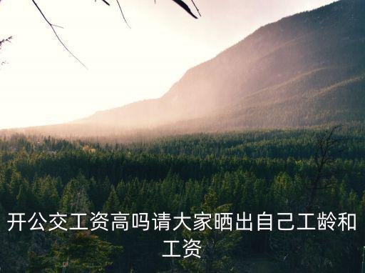 開公交工資高嗎請大家曬出自己工齡和工資