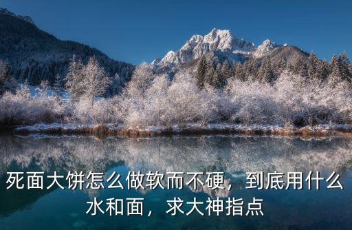 河南大餅怎么做比較軟,河南大餅的做法與配方