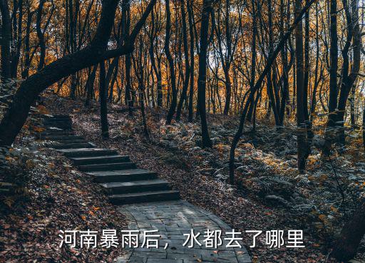 河南暴雨后，水都去了哪里