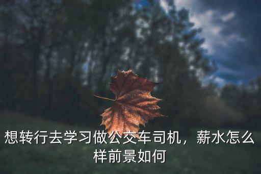想轉(zhuǎn)行去學(xué)習(xí)做公交車司機(jī)，薪水怎么樣前景如何