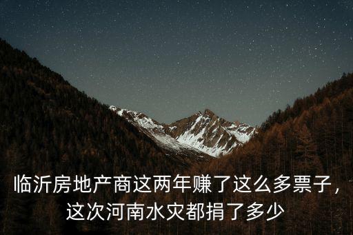 臨沂房地產商這兩年賺了這么多票子，這次河南水災都捐了多少