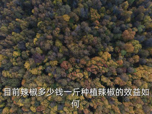 目前辣椒多少錢一斤種植辣椒的效益如何