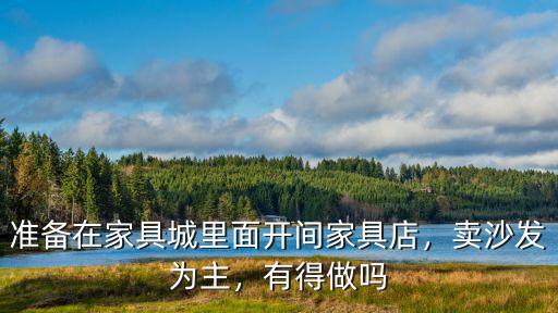 準備在家具城里面開間家具店，賣沙發為主，有得做嗎