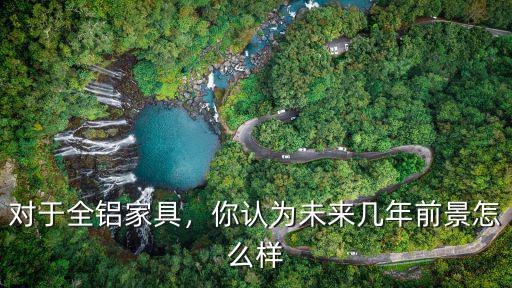 對于全鋁家具，你認為未來幾年前景怎么樣