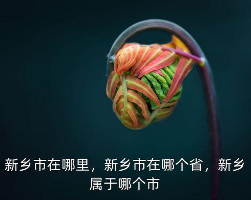 新鄉(xiāng)市在哪里，新鄉(xiāng)市在哪個省，新鄉(xiāng)屬于哪個市