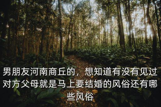 想找河南男朋友怎么辦,男朋友河南商丘的