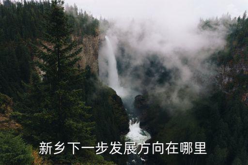 新鄉(xiāng)下一步發(fā)展方向在哪里