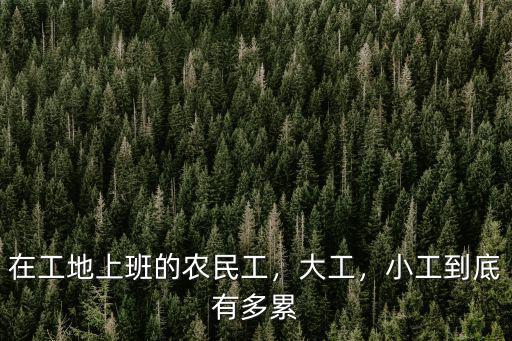 在工地上班的農(nóng)民工，大工，小工到底有多累