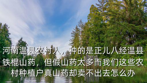 河南溫縣農村人，種的是正兒八經溫縣鐵棍山藥，但假山藥太多而我們這些農村種植戶真山藥卻賣不出去怎么辦