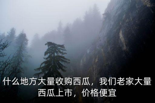 河南西瓜產地有多少,西瓜有多少種品種