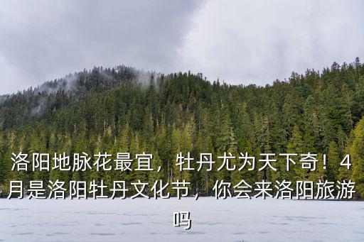 洛陽地脈花最宜，牡丹尤為天下奇！4月是洛陽牡丹文化節，你會來洛陽旅游嗎