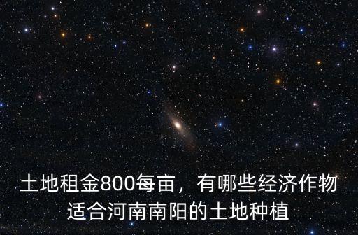 土地租金800每畝，有哪些經濟作物適合河南南陽的土地種植