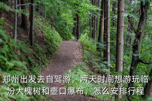鄭州出發去自駕游，兩天時間想游玩臨汾大槐樹和壺口瀑布，怎么安排行程