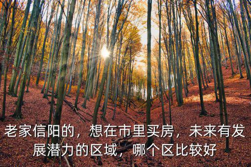 老家信陽的，想在市里買房，未來有發(fā)展?jié)摿Φ膮^(qū)域，哪個區(qū)比較好