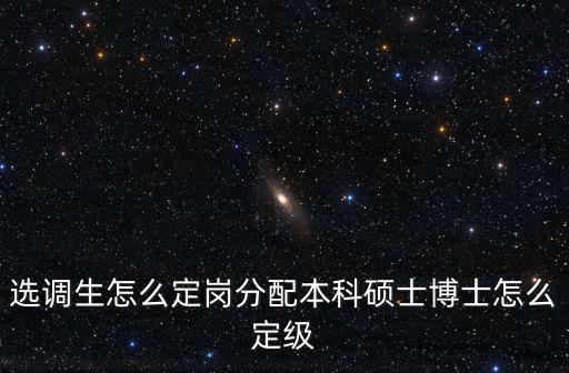 河南選調生定崗怎么提拔,選調生怎么定崗分配