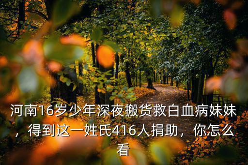 個人怎么捐助河南,得到這一姓氏416人捐助