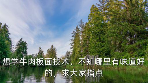 想學牛肉板面技術，不知哪里有味道好的，求大家指點