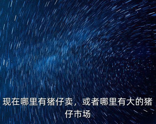 現在哪里有豬仔賣，或者哪里有大的豬仔市場