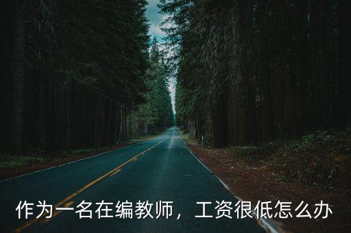 作為一名在編教師，工資很低怎么辦