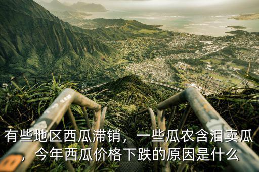 有些地區(qū)西瓜滯銷，一些瓜農(nóng)含淚賣瓜，今年西瓜價(jià)格下跌的原因是什么