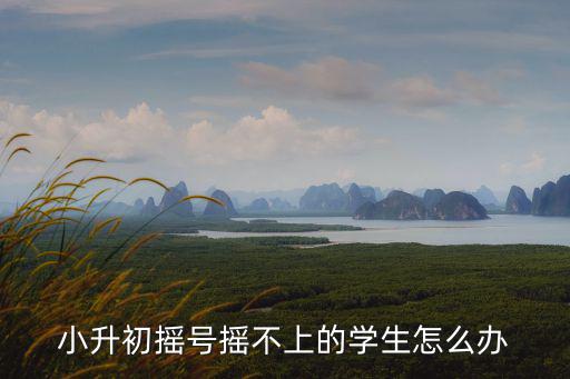小升初搖號搖不上的學生怎么辦