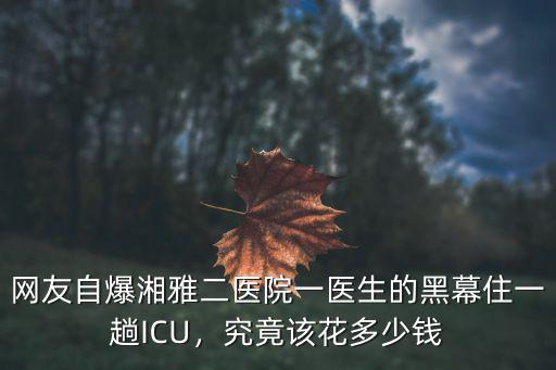 網(wǎng)友自爆湘雅二醫(yī)院一醫(yī)生的黑幕住一趟ICU，究竟該花多少錢