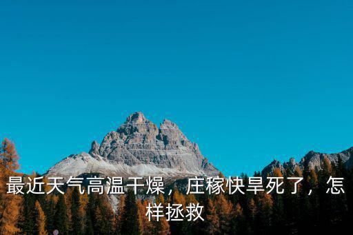 河南天氣太干燥怎么辦,怎么形容河南的天氣